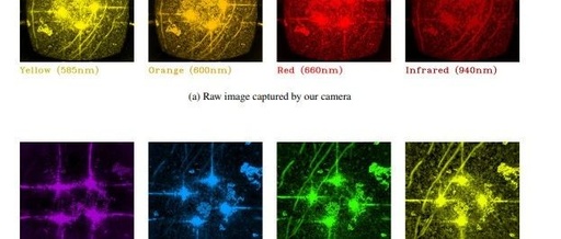 Innovative Agricultural Imaging: Development and Application of a Low-Cost Compact Active Lighting Camera for Easy Acquisition and Reconstruction of Hyperspectral Data