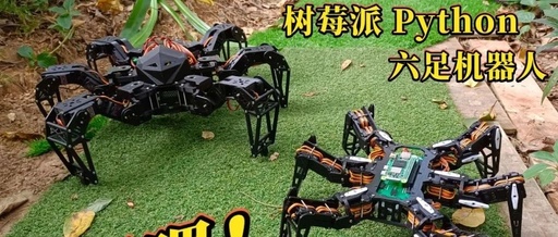 Build Your Own Hexapod Robot Controlled by Raspberry Pi Zero 2W with Python!