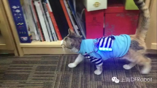 Create Your Own DIY Cat Wearable with Arduino