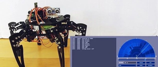 How to Build Your Own Arduino Hexapod Robot