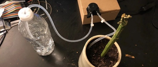 Automate Watering Your Plants with Raspberry Pi and Python