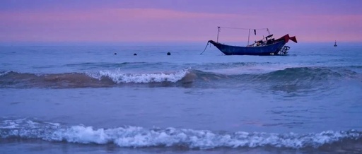 Why RISC-V is Succeeding: An In-Depth Analysis