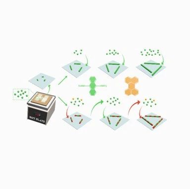 Vapor-Phase Living Assembly of π-Conjugated Organic Semiconductors