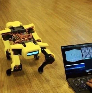 DIY Boston Dynamics-Inspired Robot with Raspberry Pi: A Comprehensive Guide