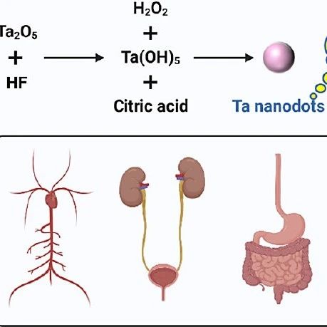 Gram-Scale Synthesis of High Water Soluble Tantalum Nanodots for Computed Tomography Imaging