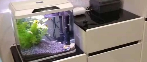 Remote Visualization Fish Feeder Using Raspberry Pi Zero