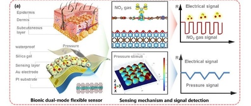 Flexible Bionic and Multifunctional Perception Skin Platform from Jilin University: 3D Conductive MOF Network-Based Gas and Pressure Sensing System for Intelligent Medical Monitoring