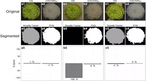 Innovative Low-Cost Imaging Method for Measuring Plant Leaf Area in Various Environments