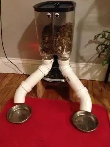 Automated Cat Feeder with Raspberry Pi