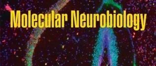 Specific Electroacupuncture Stimulation Enhances NGF Delivery Across the Blood-Brain Barrier to Improve Cognitive Function in MCAO/R Recovery Rats