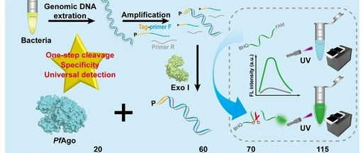 A Novel Method for Visual Detection of Foodborne Pathogens Based on Argonaute Protein