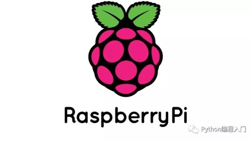 Running Python on Raspberry Pi: A Beginner's Guide