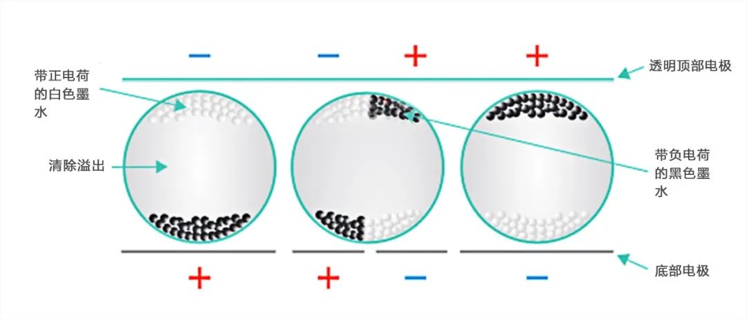 Understanding High-Tech Displays: Electronic Paper and Glasses-Free 3D Displays