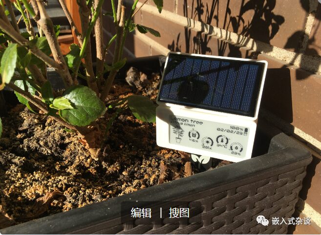 Smart Plant: Innovative Embedded Project with E-Paper Display for Plant Monitoring