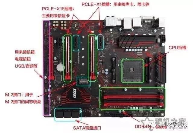 A Beginner's Guide to Choosing the Right Computer Motherboard