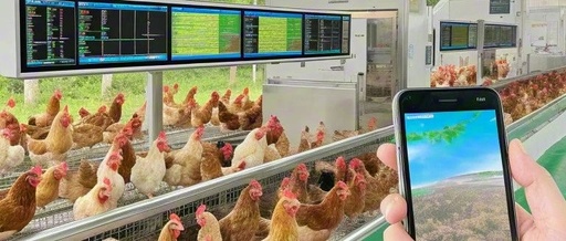 How to Implement a Digital AI Ecosystem for Poultry Farming