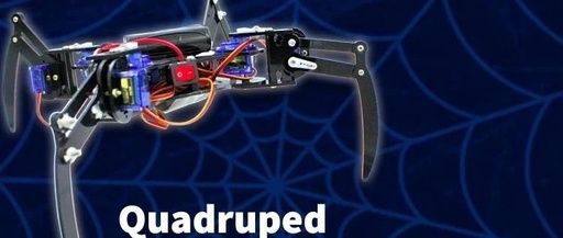 Design and Control of a Quadruped Spider Robot Using ESP32