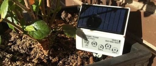 Smart Plant: Innovative Embedded Project with E-Paper Display for Plant Monitoring