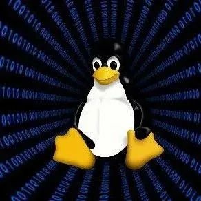 Understanding Byte Alignment in Linux