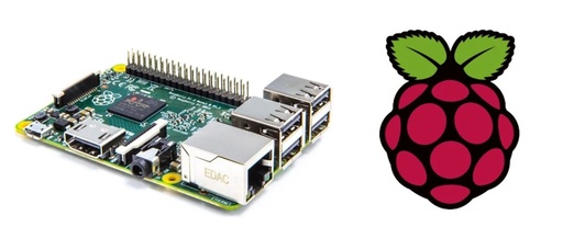 Raspberry Pi Purchase Guide: A Beginner's Tutorial