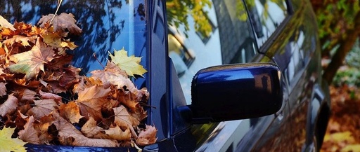 Exploring the World Through Car Sunroofs