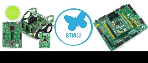 Mastering STM32: Overcoming Project Challenges