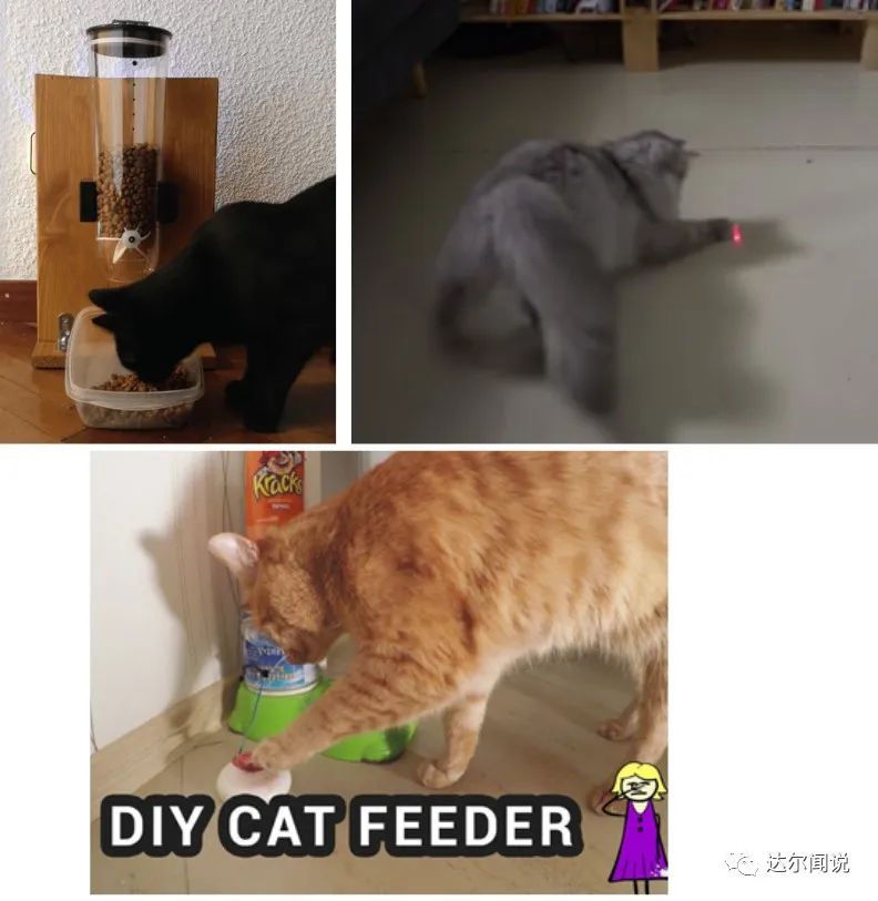 DIY Cat Care Gadgets: Automatic Feeder and Laser Toy