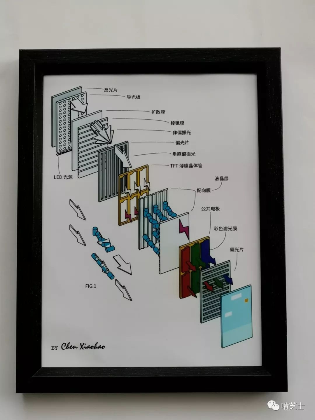 Understanding the Working Principle of LCD Screens