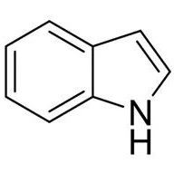 Synthesis Methods of Indole