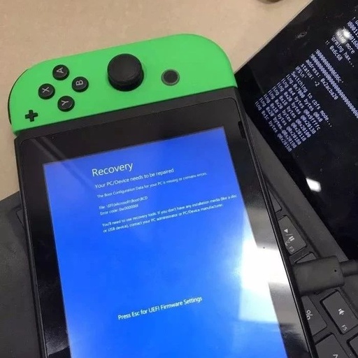 How to Run Android Software on Nintendo Switch