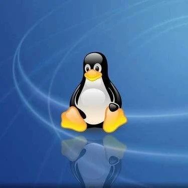 Analyzing UDP Packet Loss Issues in Linux Systems