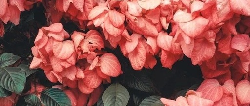 How to Choose a Computer for Your Child's Programming Course? Complete Guide to Configuration and Selection