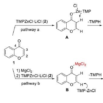 Preparation and Application of TMPZnCl·LiCl: The Influence of Magnesium Chloride on Regioselectivity