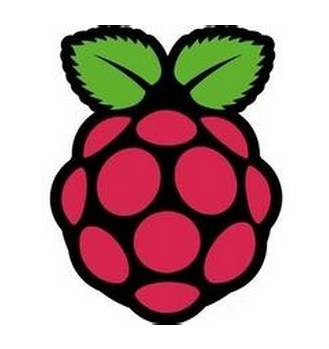 Practical Configuration for Raspberry Pi B (VNC and Serial Port)