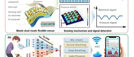 Flexible Intelligent Epidermis Warning System: Machine Learning and 3D Bioinspired Conductive MOF Network for Dual Pressure Sensing