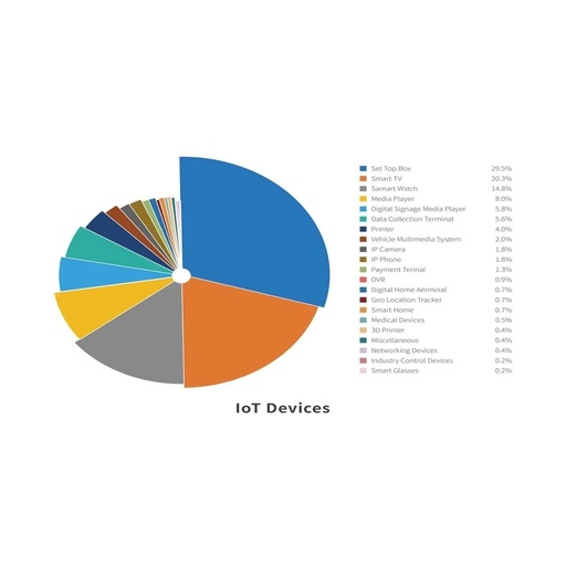 2020 IoT Terminal Security White Paper