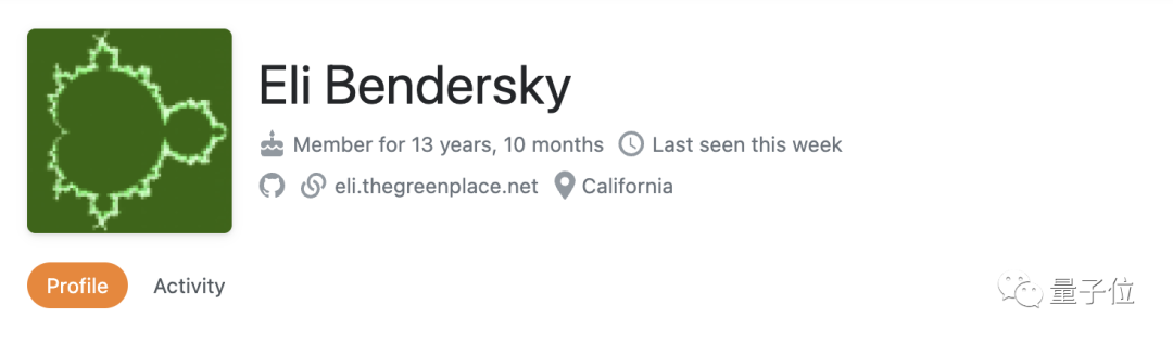 A Senior Developer's Year-Long Journey Learning Rust