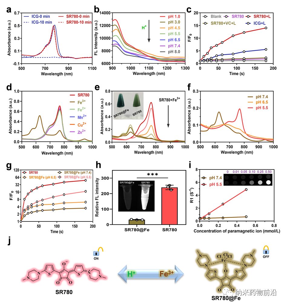 pH-Activated Nanoplatform for Tumor Therapy