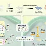 Oxygen Vacancy Piezoelectric Nanosheets for Ultrasound Tumor Therapy