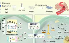 Oxygen Vacancy Piezoelectric Nanosheets for Ultrasound Tumor Therapy