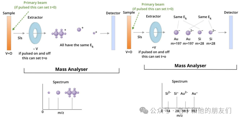Interpretation of Time-of-Flight Secondary Ion Mass Spectrometry (ToF-SIMS) Technology