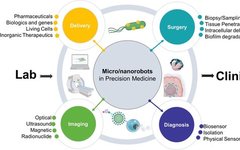 Review: Medical Micro/Nanorobots in Precision Medicine