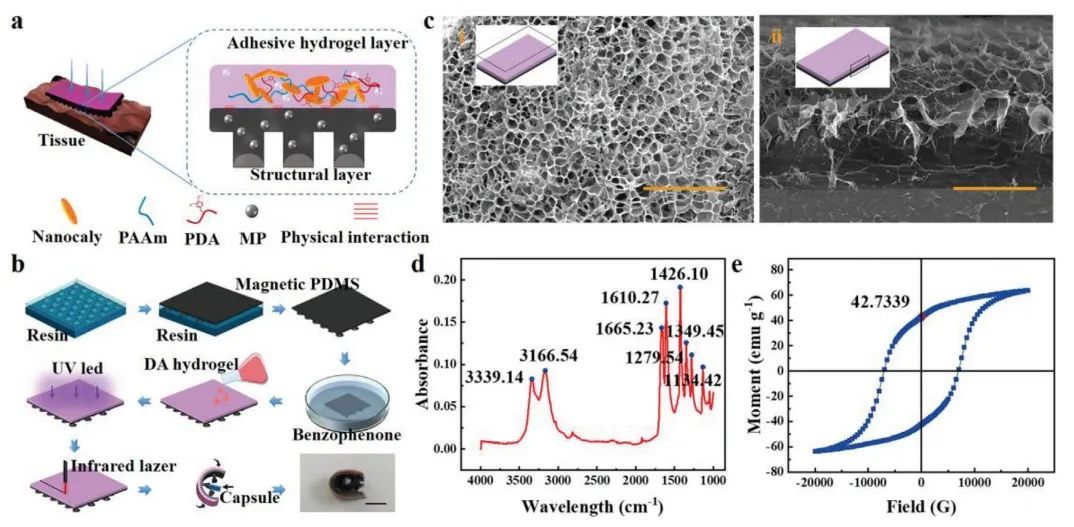 Soft Magnetic Microrobots for Targeted Drug Delivery