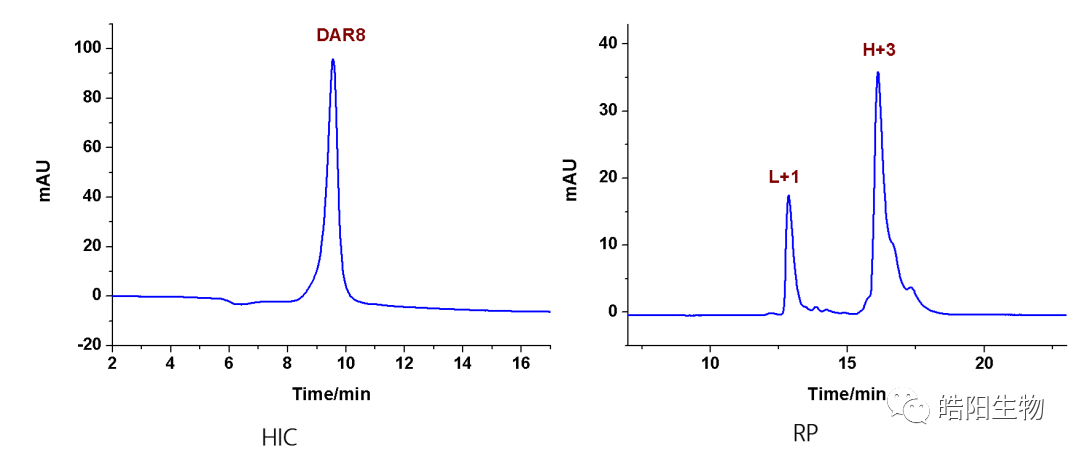 Physicochemical Analysis and Structural Characterization of Antibody-Drug Conjugates (ADCs)