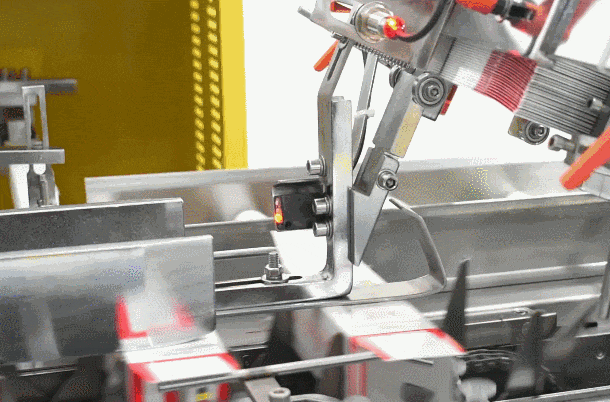 Automated Packaging Solutions for the Food Industry | Smart Box Packing Machine