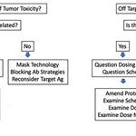 Lessons Learned in ADC Clinical Development