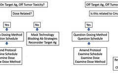 Lessons Learned in ADC Clinical Development