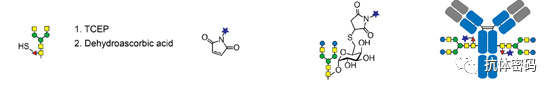 Comprehensive Overview of Antibody-Drug Conjugates (ADCs)