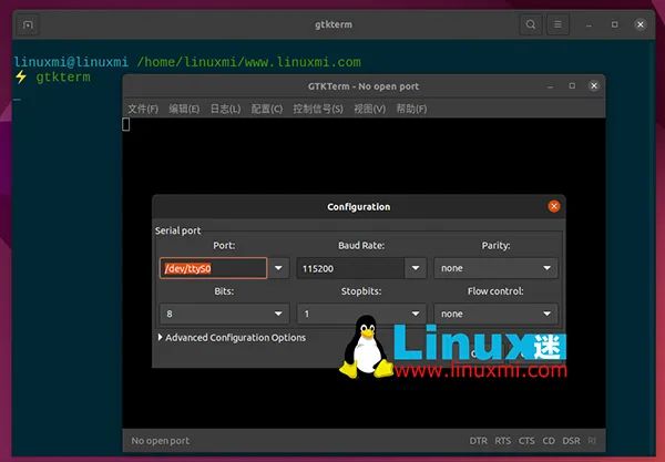 How to Connect to Serial Console in Linux