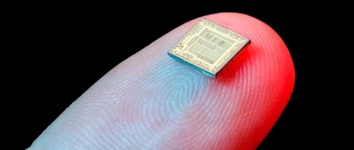 How to Build the RISC-V MCU Ecosystem?